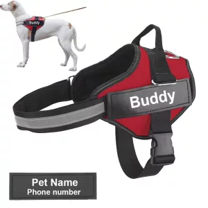 Peitoral Refletor Anti-Puxão para Cão com Etiqueta Personalizada