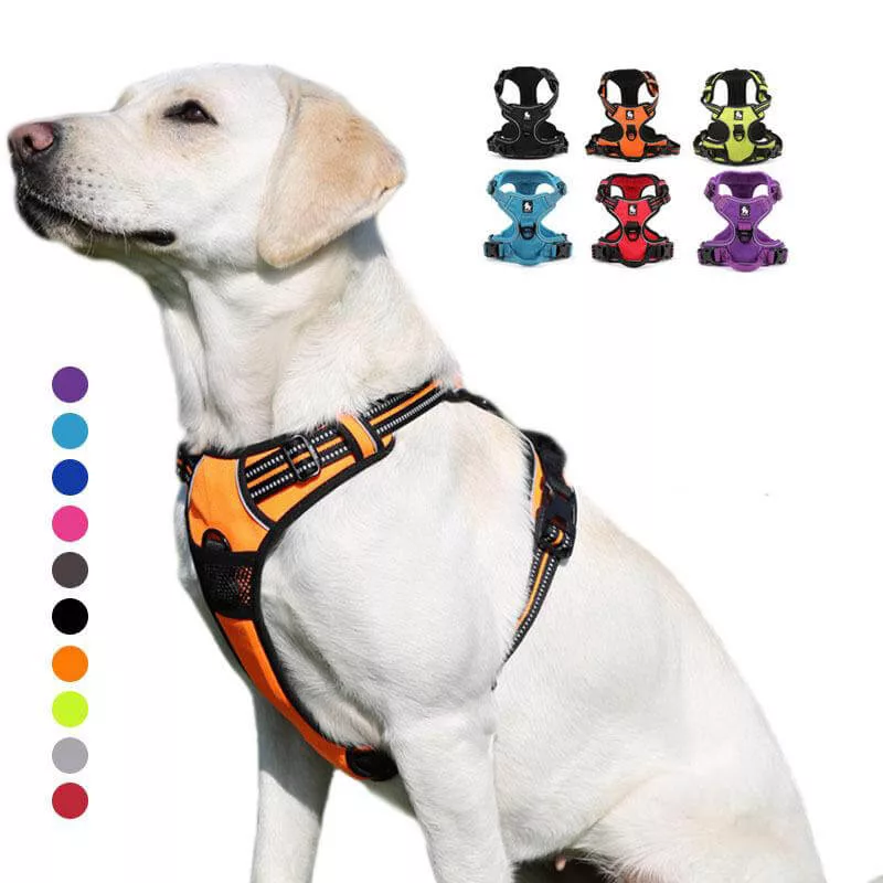 Peitoral Easy Walk Anti-Puxão para Cães