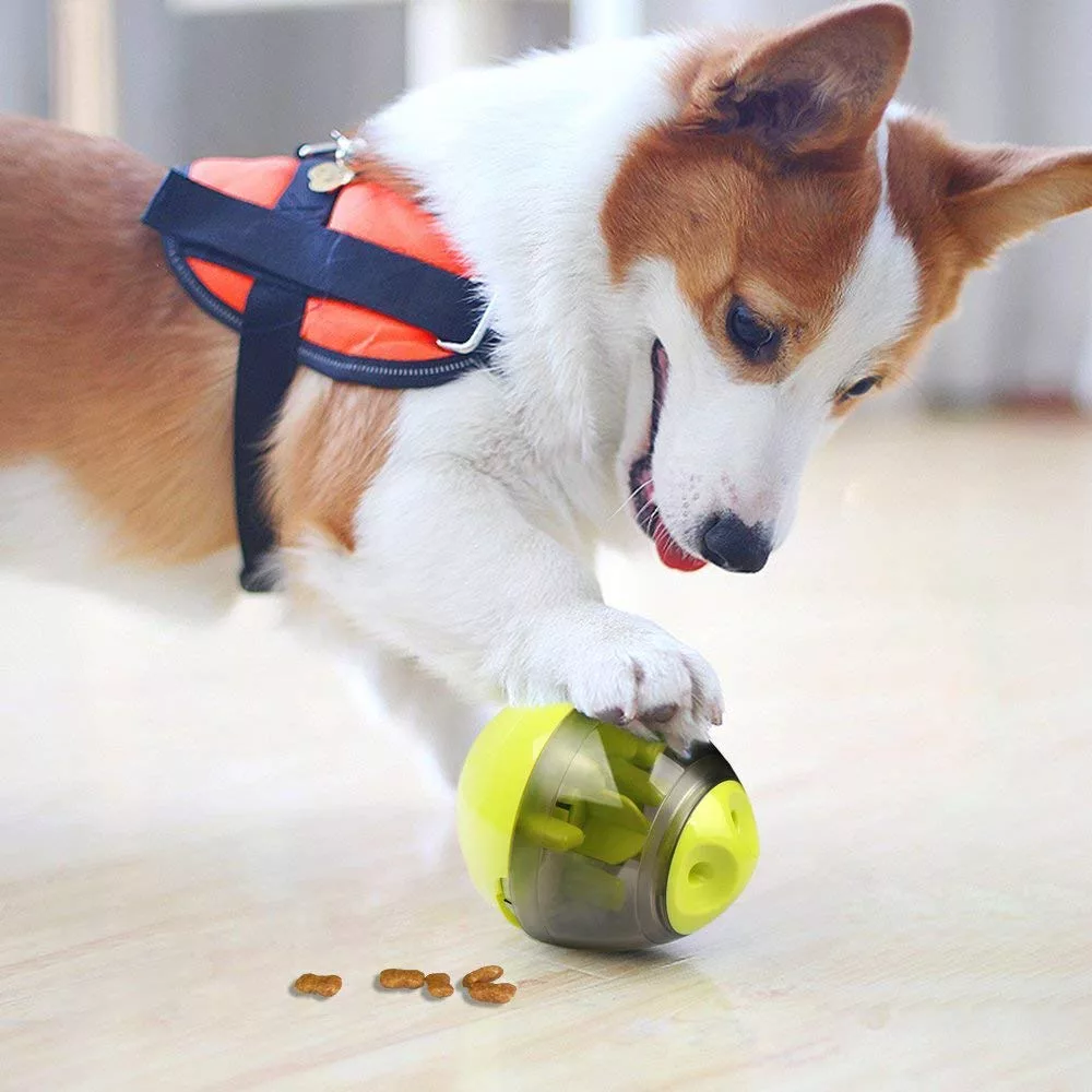 Brinquedo Interativo para Cães