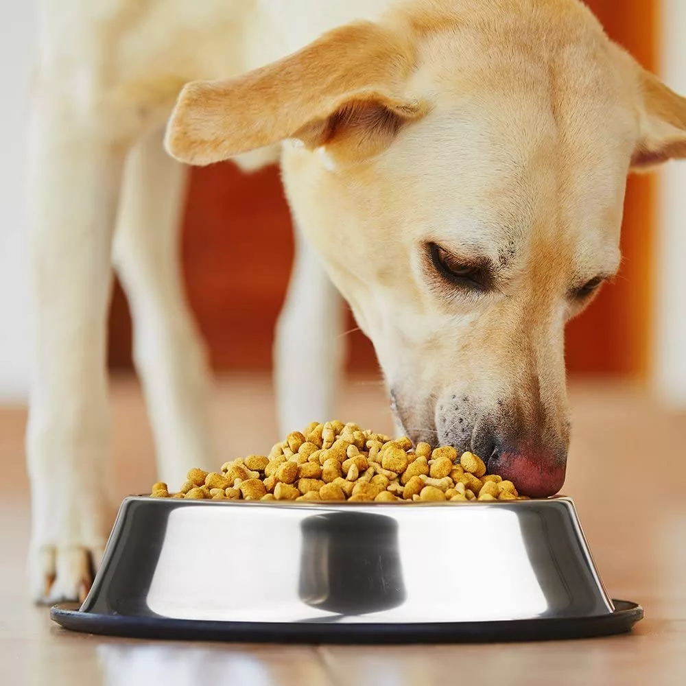Taça Antiderrapante para Cão em Aço Inoxidável