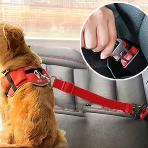 Cinto de Segurança para Cães com Arnês