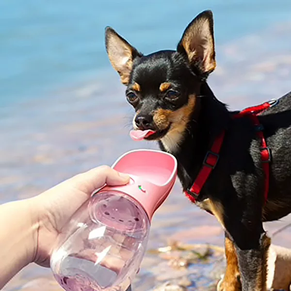 Garrafa de Água Portátil para Cães