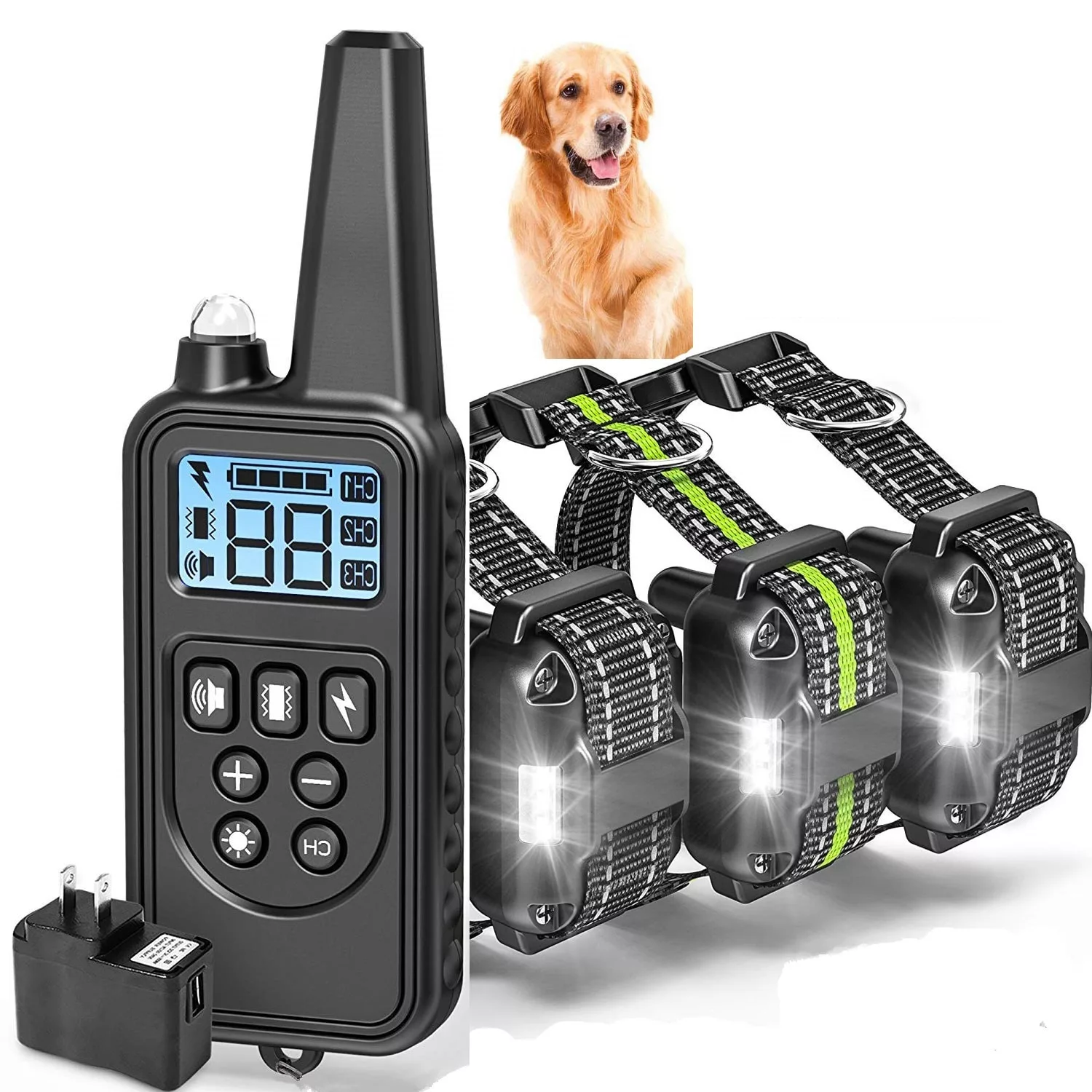 Coleira de Treino para Cão de Caça