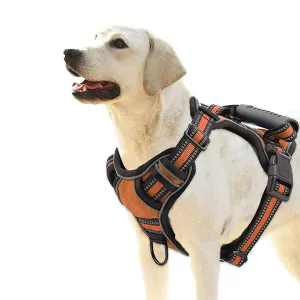 Peitoral Refletor Anti-Puxão para Cães com Alça