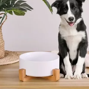Tigela de Cerâmica para Cão