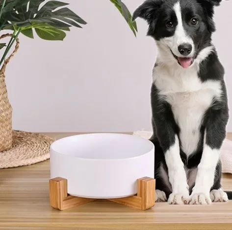 Tigela de Cerâmica para Cão