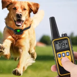 Colar de Treino Remoto para Cães