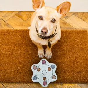 Brinquedo Interativo de Quebra-Cabeça para Cães