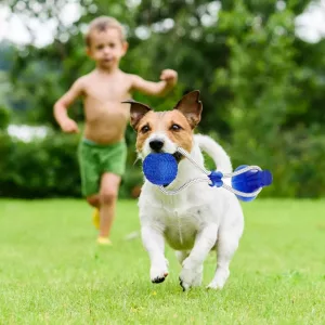 Brinquedo Interativo para Cães com Ventosa