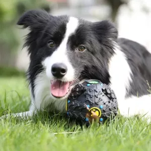 Brinquedo Puzzle para Comida de Cão