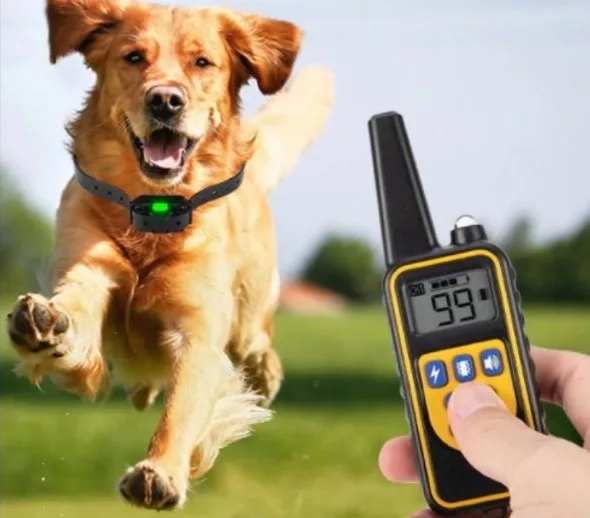 Colar de Treino Remoto para Cães