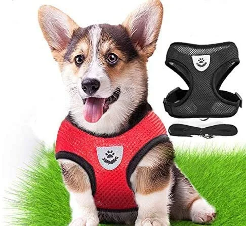 Peitoral Respirável com Trela para Cachorros e Cães Pequenos