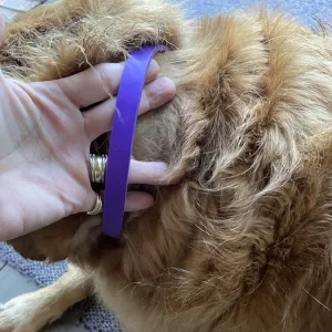 Recebi 3 colares de feromônio calmante para cães da cliente H***e
