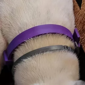 Recebido 3 colares de feromonas calmantes para cães do cliente K***n