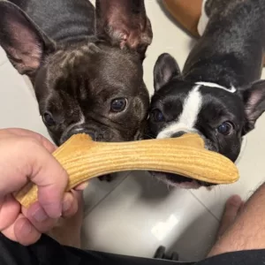 Recebido Pau de Mastigar de Madeira com Galhada para Cães do cliente C***r.