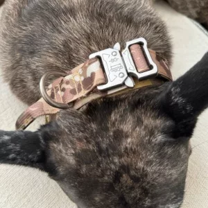 Coleira Tática de Treino para Cão com Fivela de Metal recebida do cliente S***n.