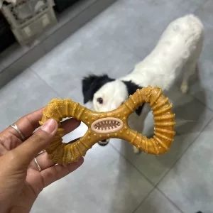 Recebi o Brinquedo Indestrutível de Madeira para Mastigar e Limpeza Dentária para Cães do cliente M****k.