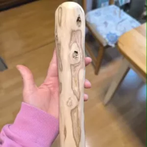 Recebido brinquedo de mastigar de madeira para cães do cliente N****i.
