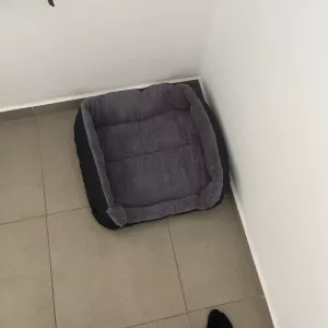 Recebi a Cama Lavável para Cão com Colchão Aveludado do cliente B****p.