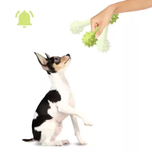 dog chew toy, rubber dog toy, dog squeaky toy, dumbbell dog toy