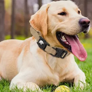 airtag dog collar, tactical dog collar, waterproof dog collar, dog collar with handle, dog collar with airtag holder, military dog collar