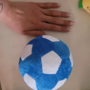 Recebido Brinquedo de Bola de Futebol com Apito para Cão do cliente F******r.