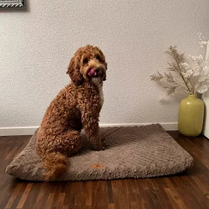Cama curta de peluche para cães com capa removível recebida do cliente L*****n.