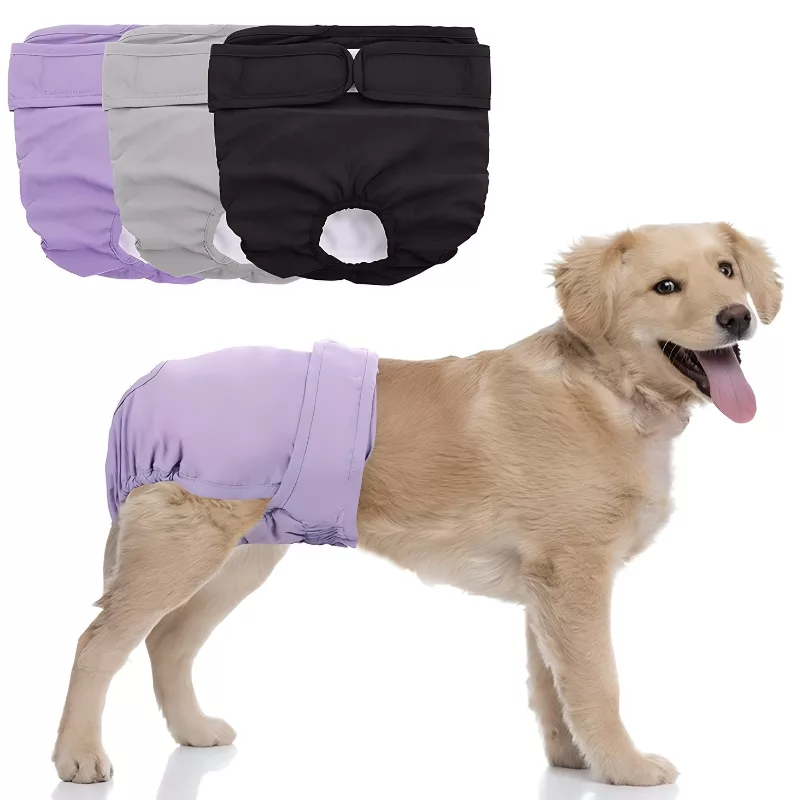 dog diapers, dog panties, female dog diapers, reusable dog diapers
